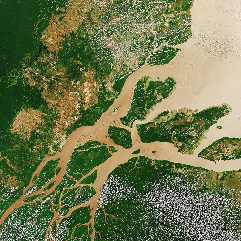 Satellite view of the Amazon River winding through the rainforest